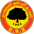 ES扎兹斯logo
